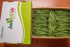 PR002-Extra-Fine-beans