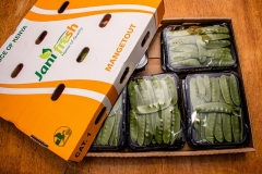 PR006-Mangetout-Punnets