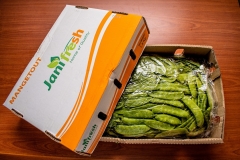 PR007-Mangetout-Bags