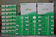 PR009-Fine-Bags-Cartons
