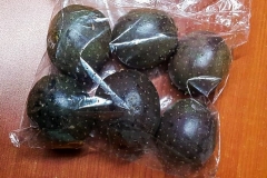 PR011-Passion-Fruit