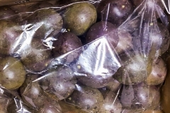PR013-Passion-Fruit