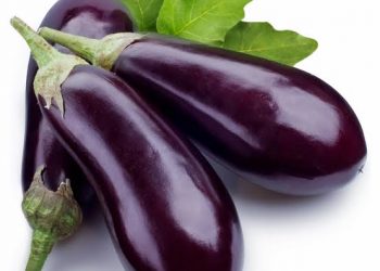Aubergines/Ravaya - Janifresh
