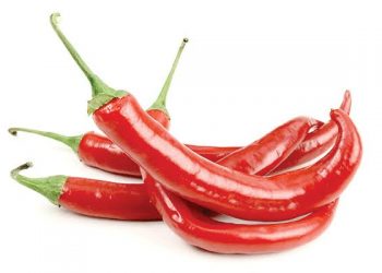 Chillies - Janifresh Kenya