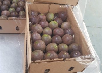 janifresh-passion-fruits