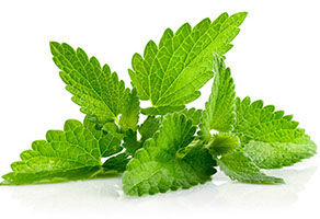 Fresh Herbs