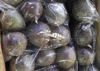 Jani Fresh Passion Fruits