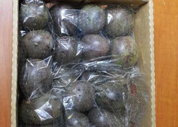 Jani Fresh Passion Fruits