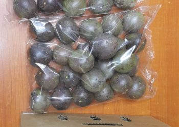 Jani Fresh Passion Fruits
