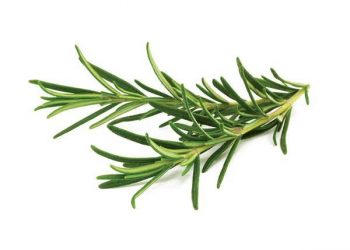 Janifresh Rosemary